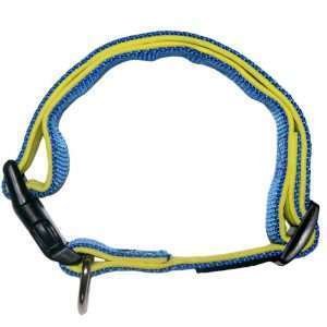 BASICS NYLON PADDED COLLAR FOR DOGS, BLUE & YELLOW 3