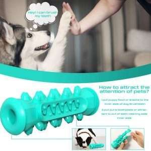 Basil Tooth Cleaning TPR Chew Dog Toy 3