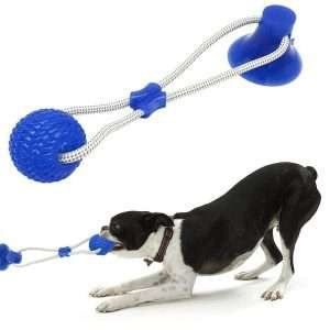 Basil Vacuum Suction Cup With Rope And Chew Ball Dog Toy 3