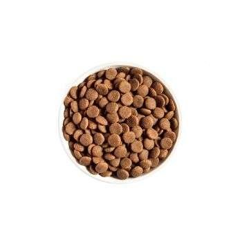 Dog Dry Food
