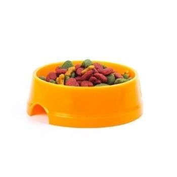 Dog Food