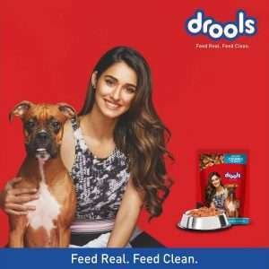 Drools Adult Real Chicken & Liver (Pouch) 3