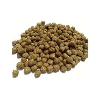 Fish Food