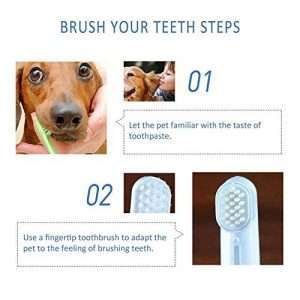 Foodie Puppies Bioline Oral Toothbrush 3