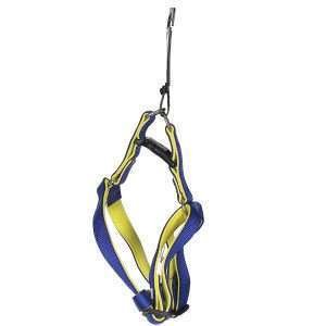 Harness S Blue side