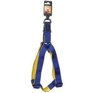 Harness XL Blue