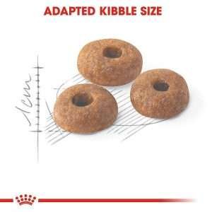 Royal Canin Fit 32 Dry Cat Food 3