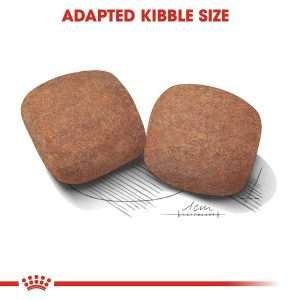 Royal Canin Giant Adult Dry Dog Food 3