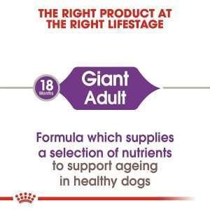 Royal Canin Giant Adult Dry Dog Food 4