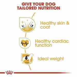Royal Canin Golden Retriever Adult Dry Dog Food 4