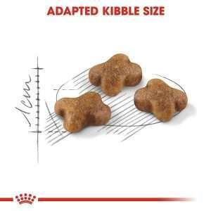 Royal Canin Kitten Dry Cat Food 3