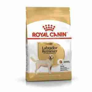 Royal Canin Labrador Retriever Adult Dry Dog Food 1