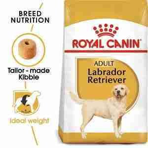 Royal Canin Labrador Retriever Adult Dry Dog Food 2