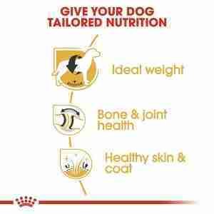 Royal Canin Labrador Retriever Adult Dry Dog Food 4