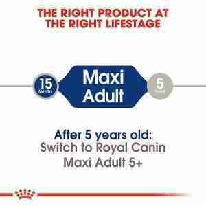 Royal Canin Maxi Adult Dry Dog Food 4