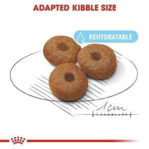 Royal Canin Maxi Starter Dry Dog Food 3