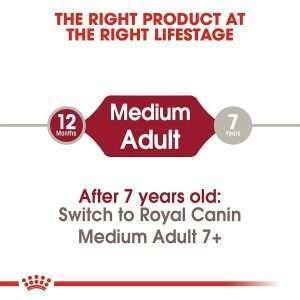 Royal Canin Medium Adult Dry Dog Food 4