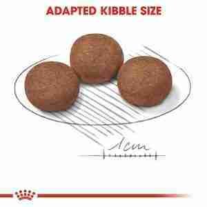 Royal Canin Medium Puppy Dry Dog Food 3