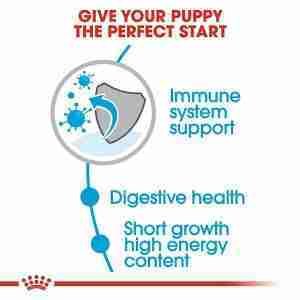 Royal Canin Medium Puppy Dry Dog Food 4