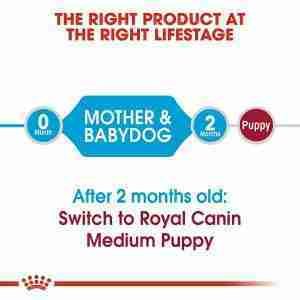 Royal Canin Medium Starter Dry Dog Food 4