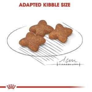 Royal Canin Mini Adult Dry Dog Food 3