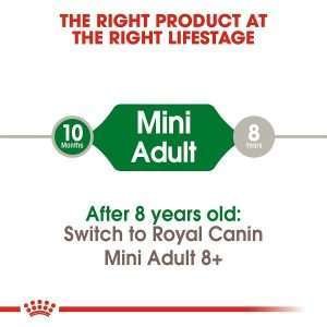 Royal Canin Mini Adult Dry Dog Food 4