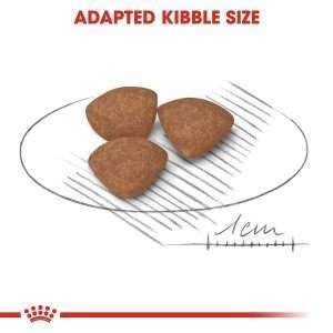 Royal Canin Mini Puppy Dry Dog Food 3