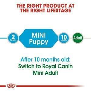 Royal Canin Mini Puppy Dry Dog Food 4