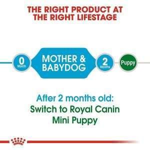 Royal Canin Mini Starter Mother & Baby Dog Dry Dog Food 4