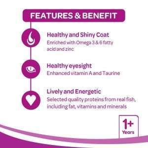 Whiskas Adult 1+ Year Dry Cat Food Mackerel Flavour 3