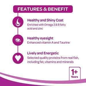 Whiskas Adult 1+ Year Dry Cat Food Tuna Flavour 3