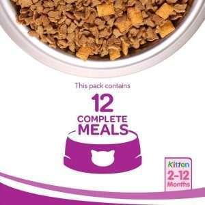 Whiskas Junior ‘Ocean Fish Flavour With Milk’ Cat Dry Food 3