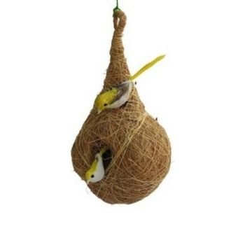 Bird Nest