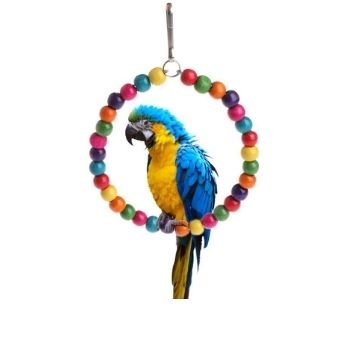 Bird Toys