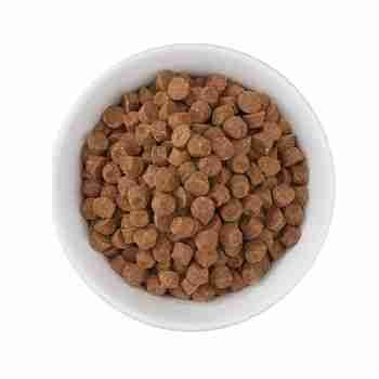 Cat Food