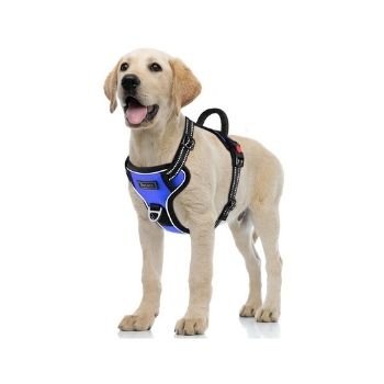 Dog Harness